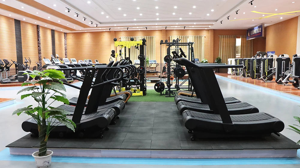 Strength Training Gym Machine Gym Use Equipment Rotary Torso Rotation Machine