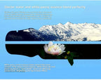 Hydrogen rich water spray, ladies' beauty style, with anti-aging beauty effect