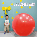Massage Yoga Ball  120cm Pilates Gym Ball Fitness Ball Pump
