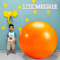 Massage Yoga Ball  120cm Pilates Gym Ball Fitness Ball Pump