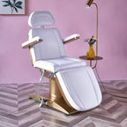 Beauty Salon 3 or 4 Motor Metal Base Beauty Bed with Manual and Remote Control